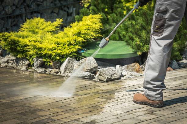 Best Gutter Cleaning  in Burney, CA