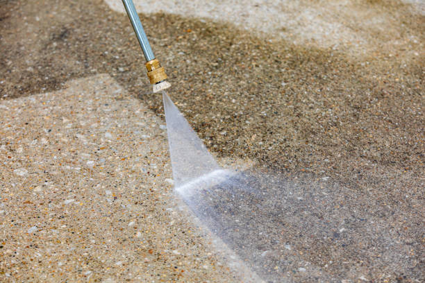 Best Roof Washing  in Burney, CA